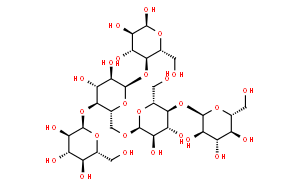 支鏈澱粉