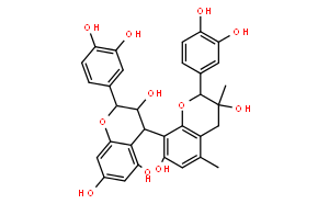 葡萄籽提取物