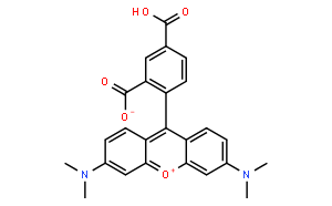 5-羧基四甲基羅丹明(míng)