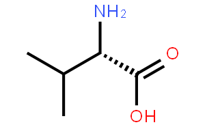 缬氨酸